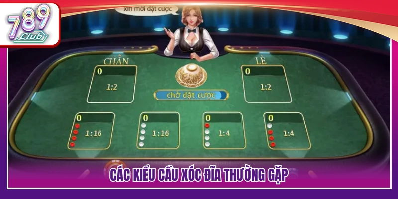 Những dạng cầu xóc đĩa phổ biến hiện nay